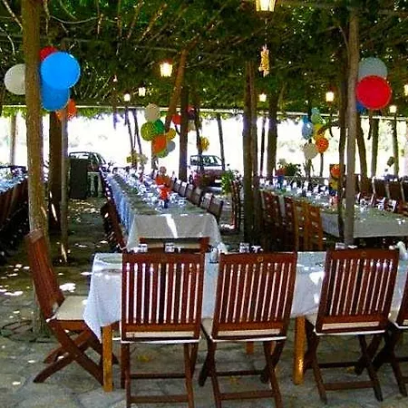Hotel Lintzi